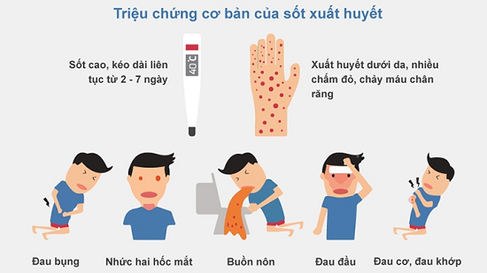 dau-hieu-sot-xuat-huyet-3 dau hieu sot xuat huyet