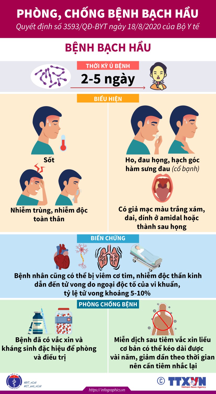 image-20230928094905-1-3 bạch hầu